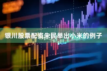 银川股票配资朱民举出小米的例子