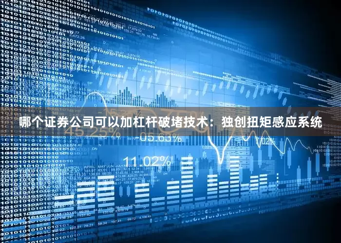 哪个证券公司可以加杠杆破堵技术：独创扭矩感应系统